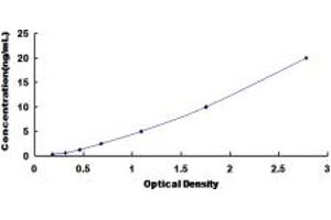 Typical standard curve (SYNRG ELISA Kit)