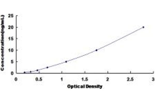 SYNRG ELISA Kit
