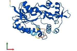 Protein Structure (PS) image for NmrA-Like Family Domain Containing 1 (NMRAL1) (AA 1-309) protein (His tag) (ABIN7559518)