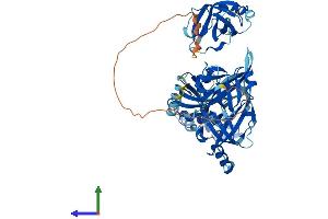 AlphaFold protein structure predicition of Human Recombinant RPA1 Protein, UniprotID P27694 (RPA1 Protein (AA 1-616) (His tag))