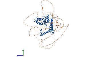 Protein Structure (PS) image for Death-Domain Associated Protein (DAXX) (AA 1-740) protein (His tag) (ABIN7553648)