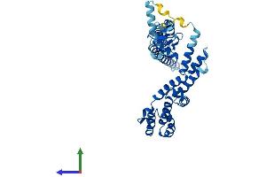 AlphaFold protein structure predicition of Human Recombinant RMND5B Protein, UniprotID Q96G75