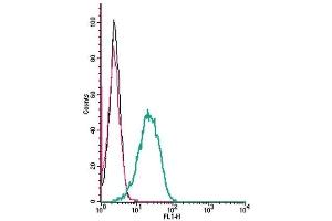 Cell surface detection of DAT by indirect flow cytometry in live intact mouse J774 macrophage cells: (black line) Cells. (SLC6A3 antibody  (2nd Extracellular Loop))