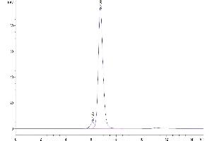 The purity of Rhesus macaque HLA-G complex Tetramer is greater than 95 % as determined by SEC-HPLC. (HLAG Protein (Tetramer) (HLA-G))