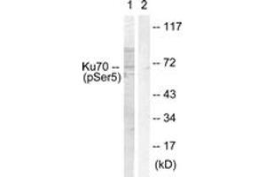 Western blot analysis of extracts from HeLa cells, using Ku70 (Phospho-Ser5) Antibody. (XRCC6 antibody  (pSer5))