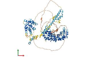AlphaFold protein structure predicition of Mouse Recombinant Armc9 Protein, UniprotID Q9D2I5 (ARMC9 Protein (AA 1-817) (His tag))
