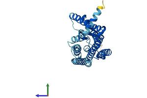 AlphaFold protein structure predicition of Human Recombinant OR4D1 Protein, UniprotID Q15615