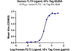 ELISA image for Fms-Related tyrosine Kinase 3 Ligand (FLT3LG) (AA 27-185) protein (Fc Tag) (ABIN7274658)