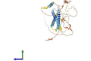 AlphaFold protein structure predicition of Mouse Recombinant Syne4 Protein, UniprotID Q8CII8 (C19orf46 Protein (AA 1-388) (His tag))