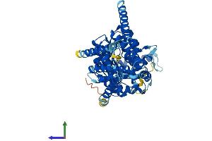 AlphaFold protein structure predicition of Human Recombinant HAS2 Protein, UniprotID Q92819