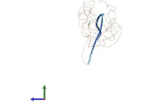 AlphaFold protein structure predicition of Mouse Recombinant Mtus1 Protein, UniprotID Q5HZI1
