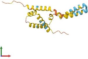 AlphaFold protein structure predicition of Human Recombinant C19orf12 Protein, UniprotID Q9NSK7 (C19ORF12 Protein (AA 1-152) (His tag))