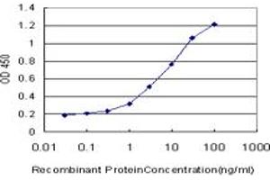 Detection limit for recombinant GST tagged SGK is approximately 0. (SGK1 antibody  (AA 1-90))