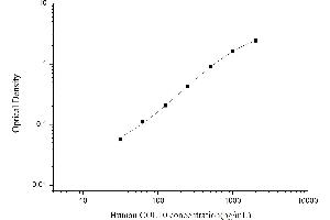 COL10 ELISA Kit
