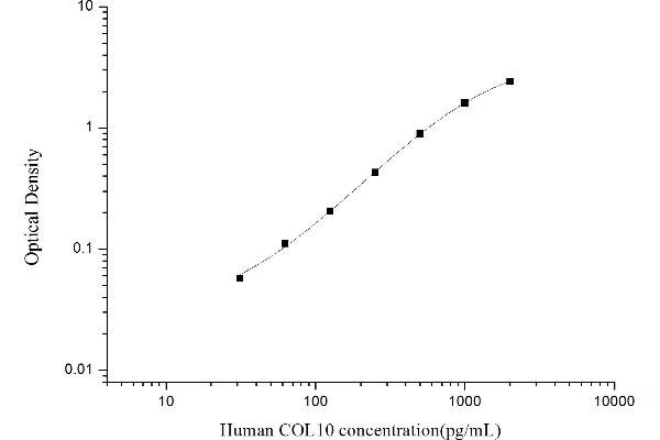 COL10 ELISA Kit