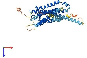 AlphaFold protein structure predicition of Human Recombinant GPR52 Protein, UniprotID Q9Y2T5 (GPR52 Protein (AA 1-361) (His tag))