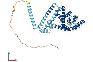 AlphaFold protein structure predicition of Mouse Recombinant Letmd1 Protein, UniprotID Q924L1