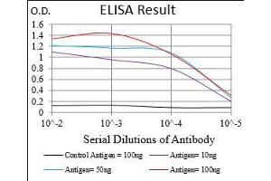Black line: Control Antigen (100 ng), Purple line: Antigen(10 ng), Blue line: Antigen (50 ng), Red line: Antigen (100 ng), (CSF1R antibody  (AA 344-497))
