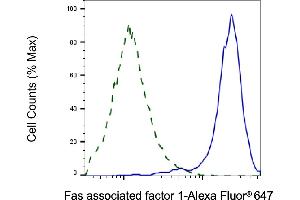 Validation of Fas associated factor 1 knockdown using flow cytometry. (FAF1 antibody)