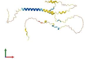 AlphaFold protein structure predicition of Mouse Recombinant Bean1 Protein, UniprotID Q9EQG5 (BEAN1 Protein (AA 1-255) (His tag))