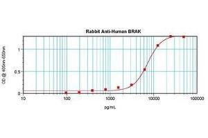 Image no. 1 for anti-Chemokine (C-X-C Motif) Ligand 14 (CXCL14) antibody (ABIN465240) (CXCL14 antibody)