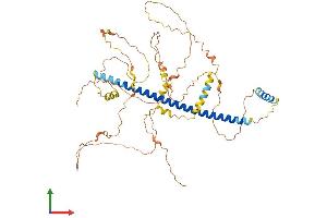 AlphaFold protein structure predicition of Mouse Recombinant Creb3l1 Protein, UniprotID Q9Z125