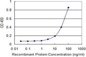 Detection limit for recombinant GST tagged PIM1 is 1 ng/ml as a capture antibody. (PIM1 antibody  (AA 1-313))