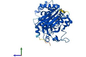 Protein Structure (PS) image for SEC14-Like 4 (SEC14L4) (AA 1-403) protein (His tag) (ABIN7559630)