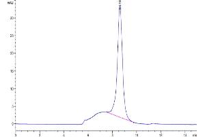 The purity of Mouse IL-1R1 is greater than 95 % as determined by SEC-HPLC. (IL1R1 Protein (AA 20-338) (His tag))
