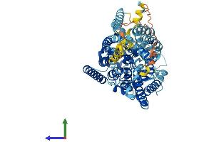 Protein Structure (PS) image for Solute Carrier Family 5 (Sodium/glucose Cotransporter), Member 2 (SLC5A2) (AA 1-670) protein (His tag) (ABIN7560249)