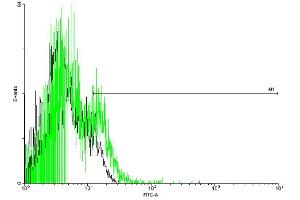 FACS analysis of negative control 293 cells (Black) and SPN expressing 293 cells (Green) using SPN purified MaxPab mouse polyclonal antibody. (CD43 antibody  (AA 1-400))
