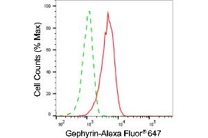 Flow cytometric analysis of Gephyrin expression in HAP-1 cells using Gephyrin antibody (ABIN7798713), 1:2,000). (Gephyrin antibody)