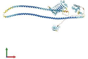 AlphaFold protein structure predicition of Mouse Recombinant Lrsam1 Protein, UniprotID Q80ZI6 (LRSAM1 Protein (AA 1-727) (His tag))