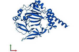 AlphaFold protein structure predicition of Mouse Recombinant Jmjd7 Protein, UniprotID P0C872