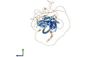 Protein Structure (PS) image for DAB2 Interacting Protein (DAB2IP) (AA 1-1189) protein (His tag) (ABIN7553613)