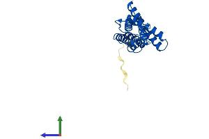 Protein Structure (PS) image for Vacuolar Protein Sorting 28 (VPS28) (AA 1-221) protein (His tag) (ABIN7545108)