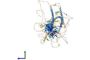AlphaFold protein structure predicition of Human Recombinant SPAG9 Protein, UniprotID O60271 (SPAG9 Protein (AA 1-1321) (His tag))