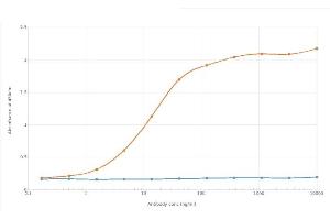 ELISA of anti-TIM-1 antibody on TIM-1-Fc fusion protein. (Recombinant HAVCR1 antibody)