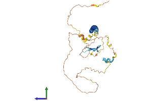 AlphaFold protein structure predicition of Human Recombinant GMNC Protein, UniprotID A6NCL1 (GEMC1 Protein (AA 1-334) (His tag))