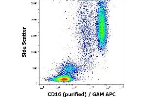 CD16 antibody