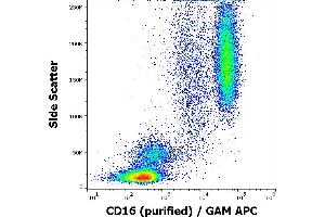 Flow cytometry surface staining pattern of human peripheral blood stained using anti-human CD16 (MEM-154) purified antibody (concentration in sample 2 μg/mL) GAM APC.