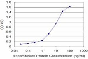 Detection limit for recombinant GST tagged LAD1 is approximately 0. (Ladinin 1 antibody  (AA 418-517))