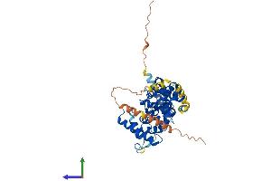 Protein Structure (PS) image for TBC1 Domain Family, Member 20 (TBC1D20) (AA 1-403) protein (His tag) (ABIN7544355)