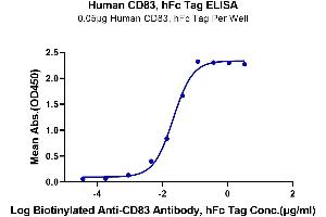 ELISA image for CD83 (CD83) (AA 20-143) protein (Fc Tag) (ABIN7274252)