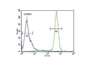 Flow cytometric analysis of Hela cells (right histogram) compared to a negative control cell (left histogram). (SCN1B antibody  (N-Term))
