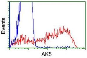 HEK293T cells transfected with either RC222241 overexpress plasmid (Red) or empty vector control plasmid (Blue) were immunostained by anti-AK5 antibody (ABIN2452724), and then analyzed by flow cytometry. (Adenylate Kinase 5 antibody)