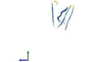 AlphaFold protein structure predicition of Mouse Recombinant Hook3 Protein, UniprotID Q8BUK6