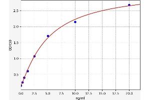 Typical standard curve (COL10A1 ELISA Kit)