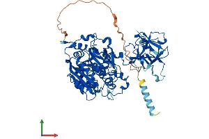 AlphaFold protein structure predicition of Human Recombinant GALNT10 Protein, UniprotID Q86SR1 (GALNT10 Protein (AA 1-603) (His tag))