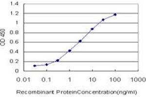 Detection limit for recombinant GST tagged RNF151 is approximately 0. (RNF151 antibody  (AA 68-173))